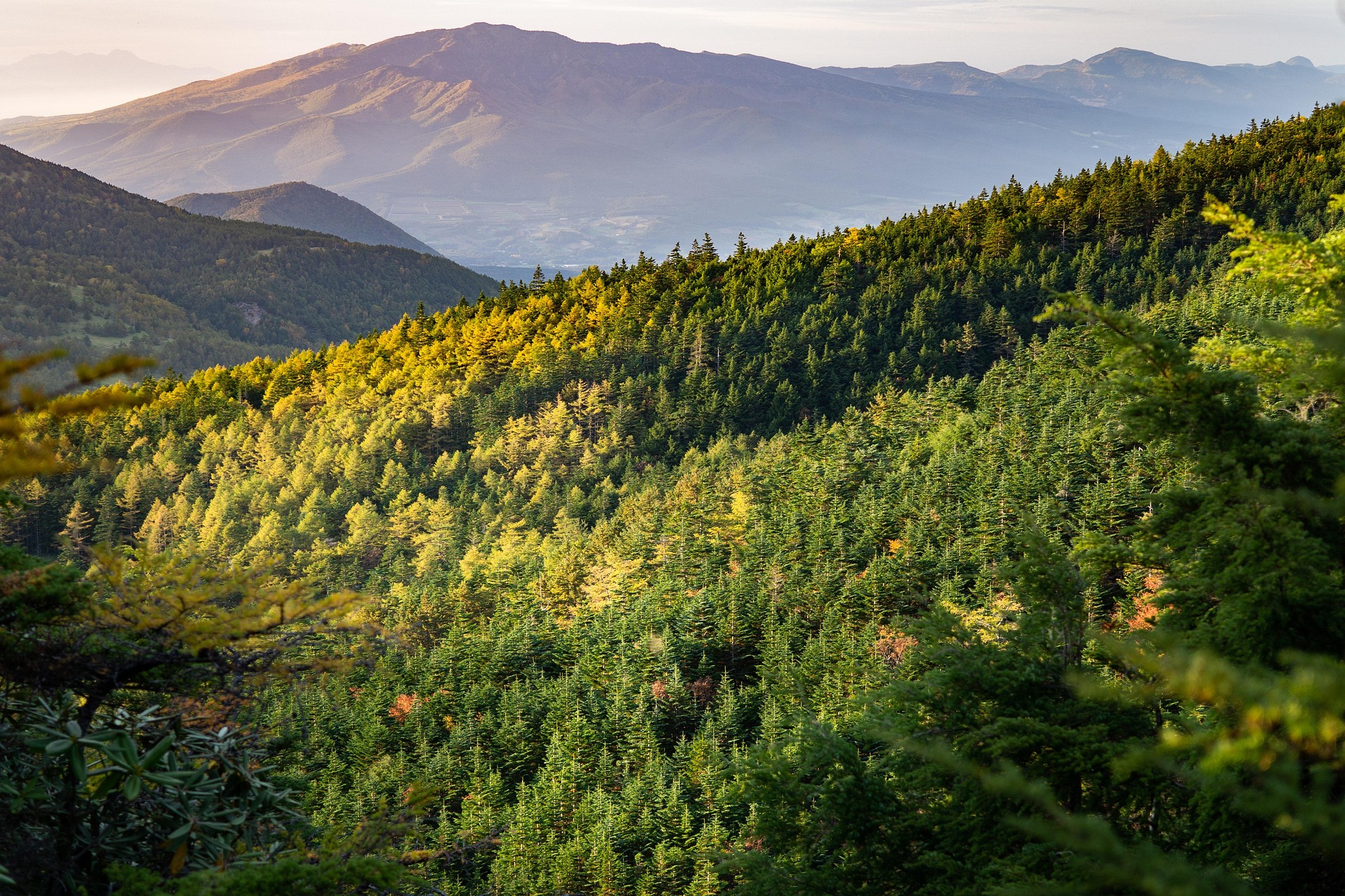 yoshitaka2-mountain-6827881_1920